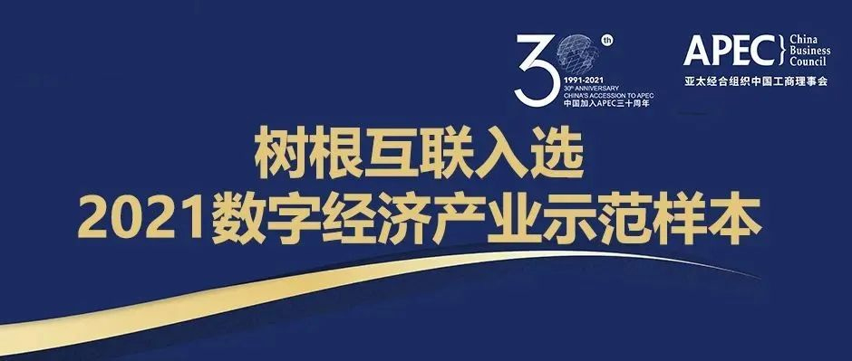 最佳实践！尊龙凯时获评APEC“中国数字经济产业示范样本”